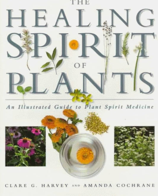 The Healing Spirit of Plants: A Practical Guide to Plant Spirit Medicine by Clare Harvey