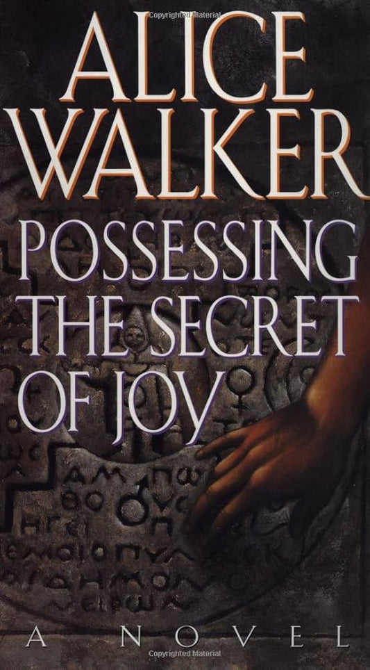 Possessing the Secret of Joy by Alice Walker