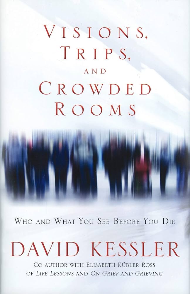Visions, Trips, and Crowded Rooms by David Kessler