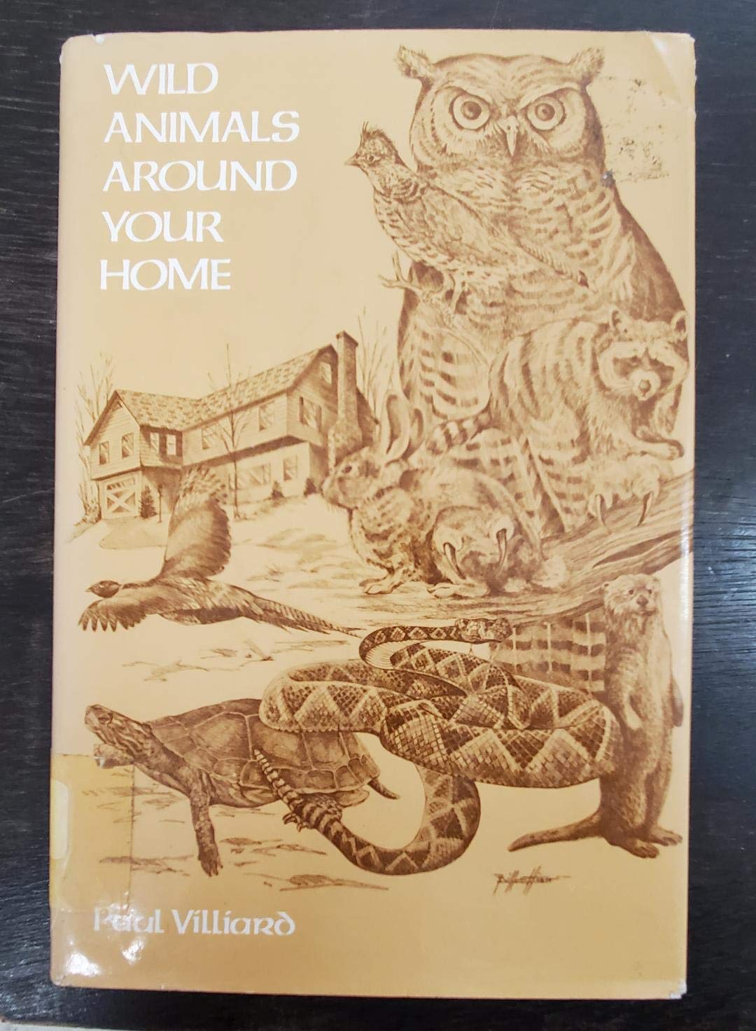 Wild Animals Around Your Home by Paul Villiard