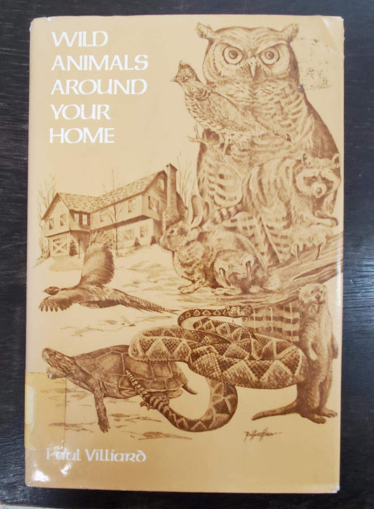 Wild Animals Around Your Home by Paul Villiard