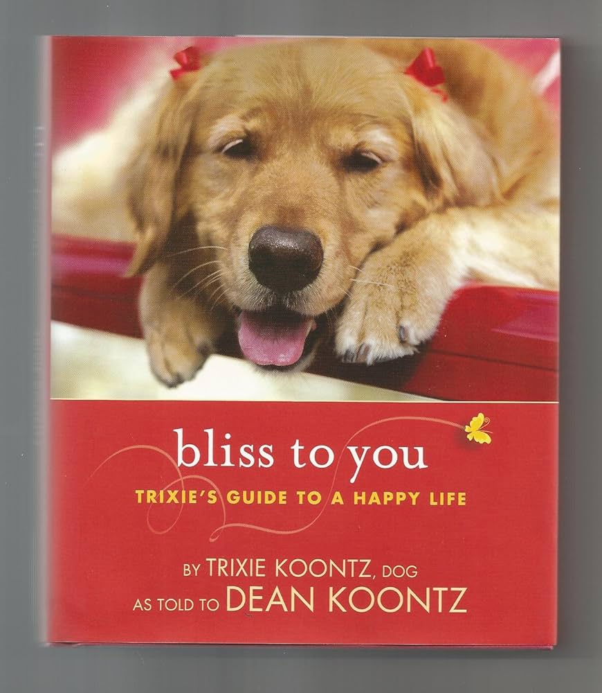 Bliss to You by Trixie Koontz