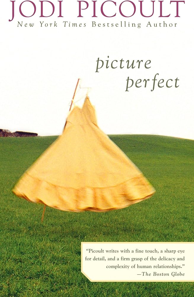 Picture Perfect by Jodi Picoult