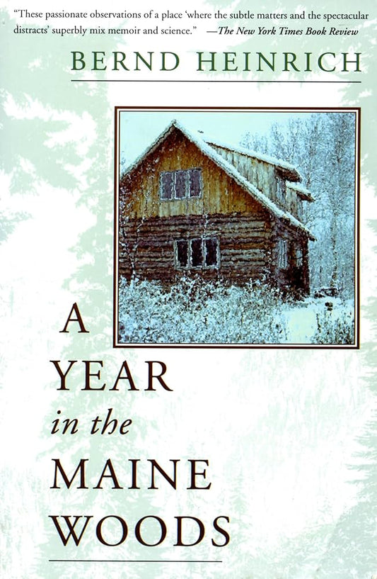 A Year In The Maine Woods by Bernd Heinrich