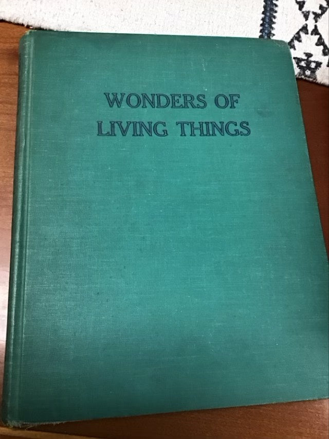 Wonders Of Living Things