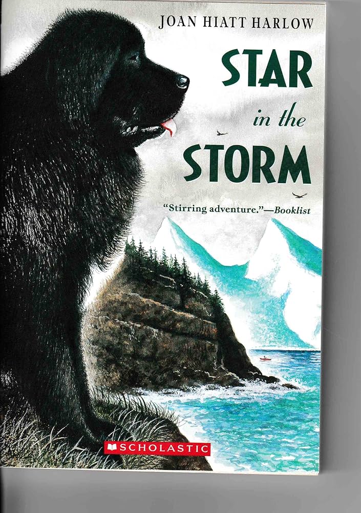 Star in the Storm by Joan Hiatt Harlow