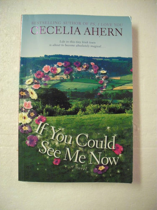 If You Could See Me Now by Cecelia Ahern