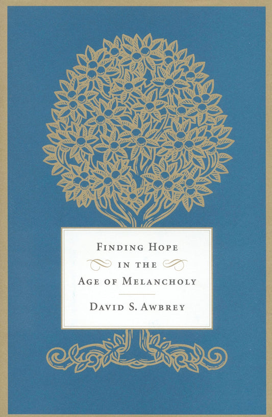 Finding Hope in the Age of Melancholy by David S. Awbrey