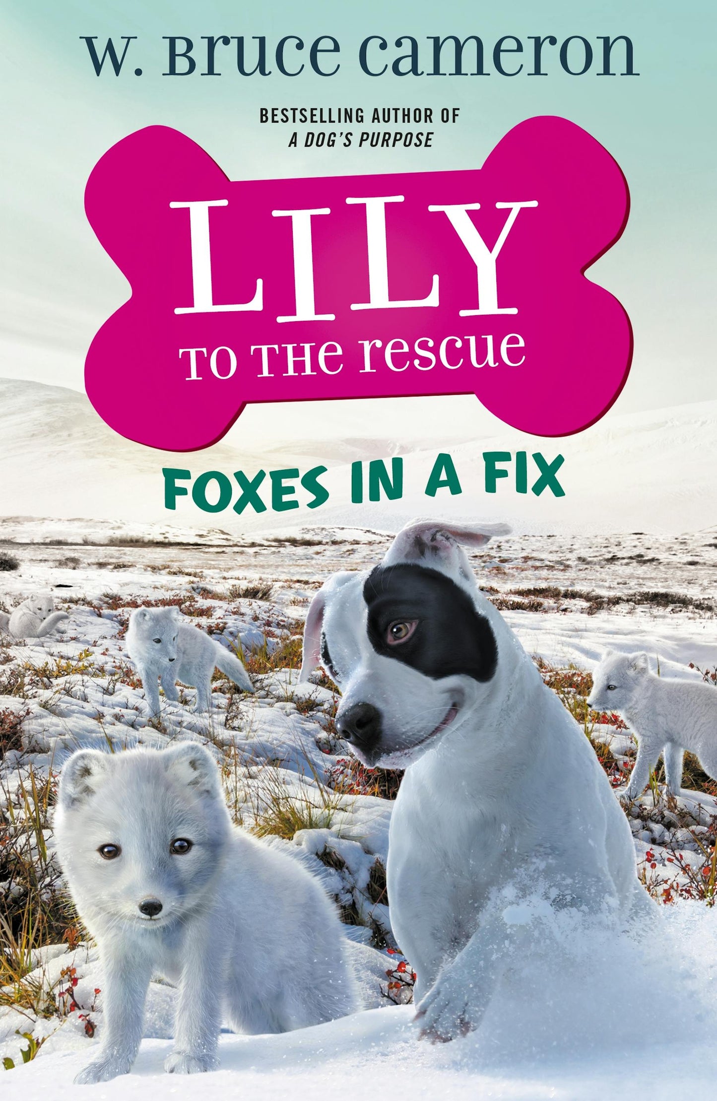 Lily to the Rescue: Foxes in a Fix by W. Bruce Cameron