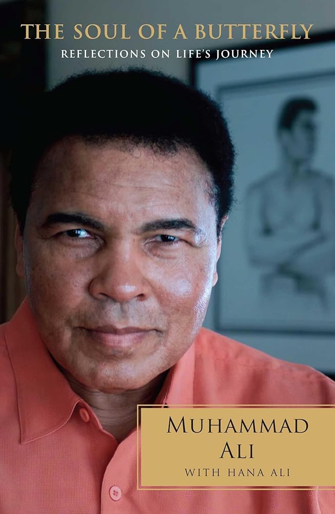 The Soul of a Butterfly: Reflections on Life's Journey cover image