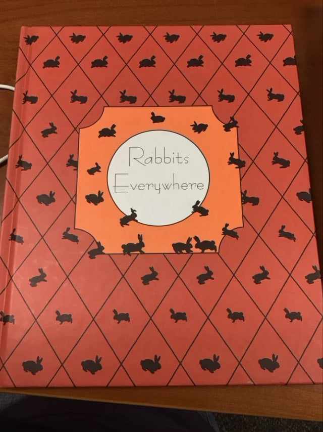 Rabbits Everywhere by Alicia Ezpeleta