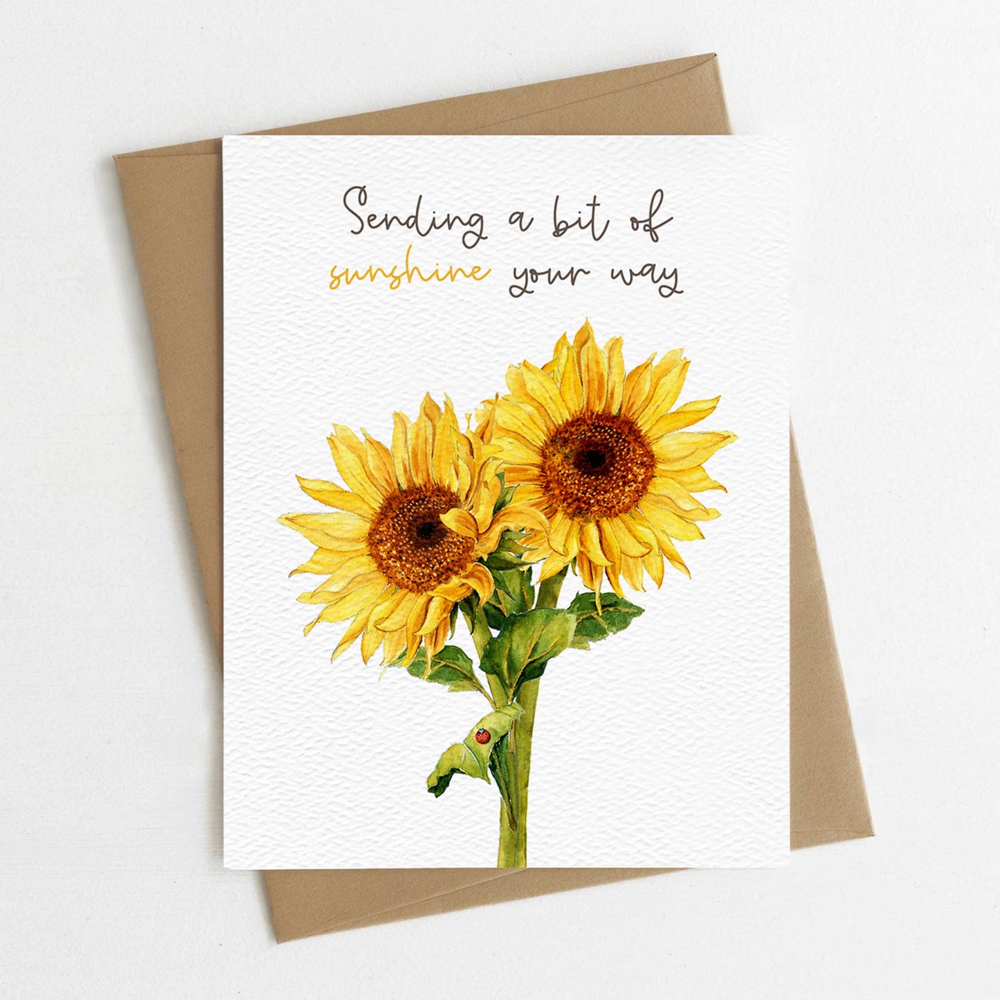 Sending Sunshine, Thinking of You, Sunflowers, Sympathy