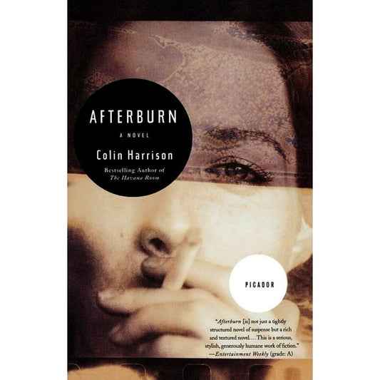 Afterburn by Colin Harrison