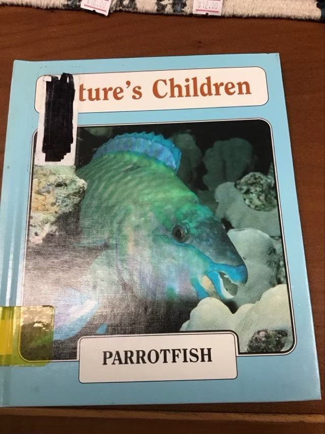 Parrotfish by Bridget Giles  * Ex Library Book