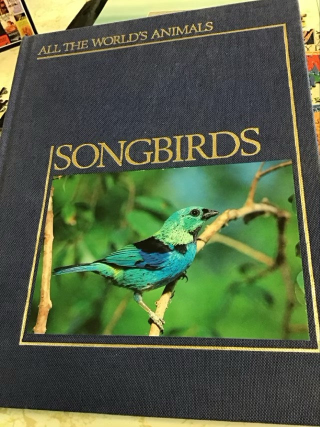 All The World’s Animals ; Songbirds by Torstar