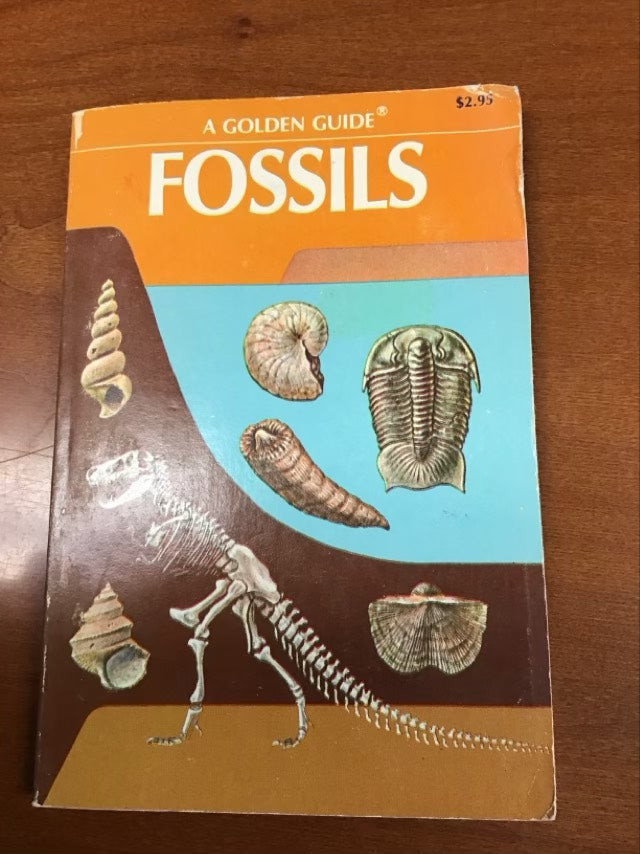 A Golden Guide Fossils by Frank Harold Trevor Rhodes