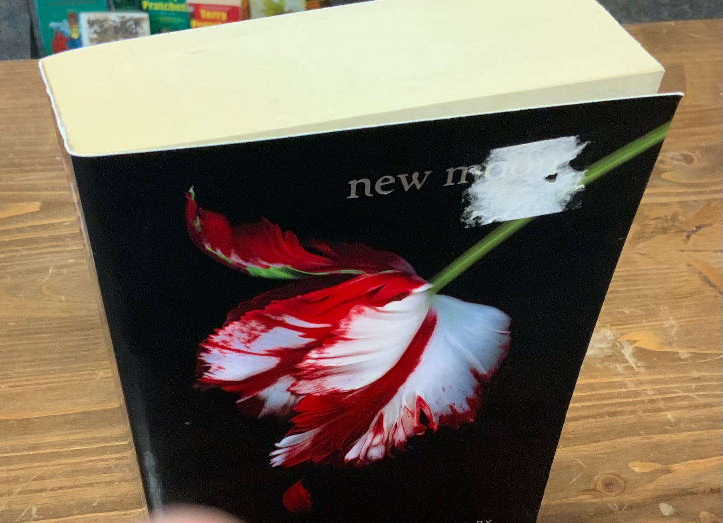 New Moon (The Twilight Saga) by Stephenie Meyer