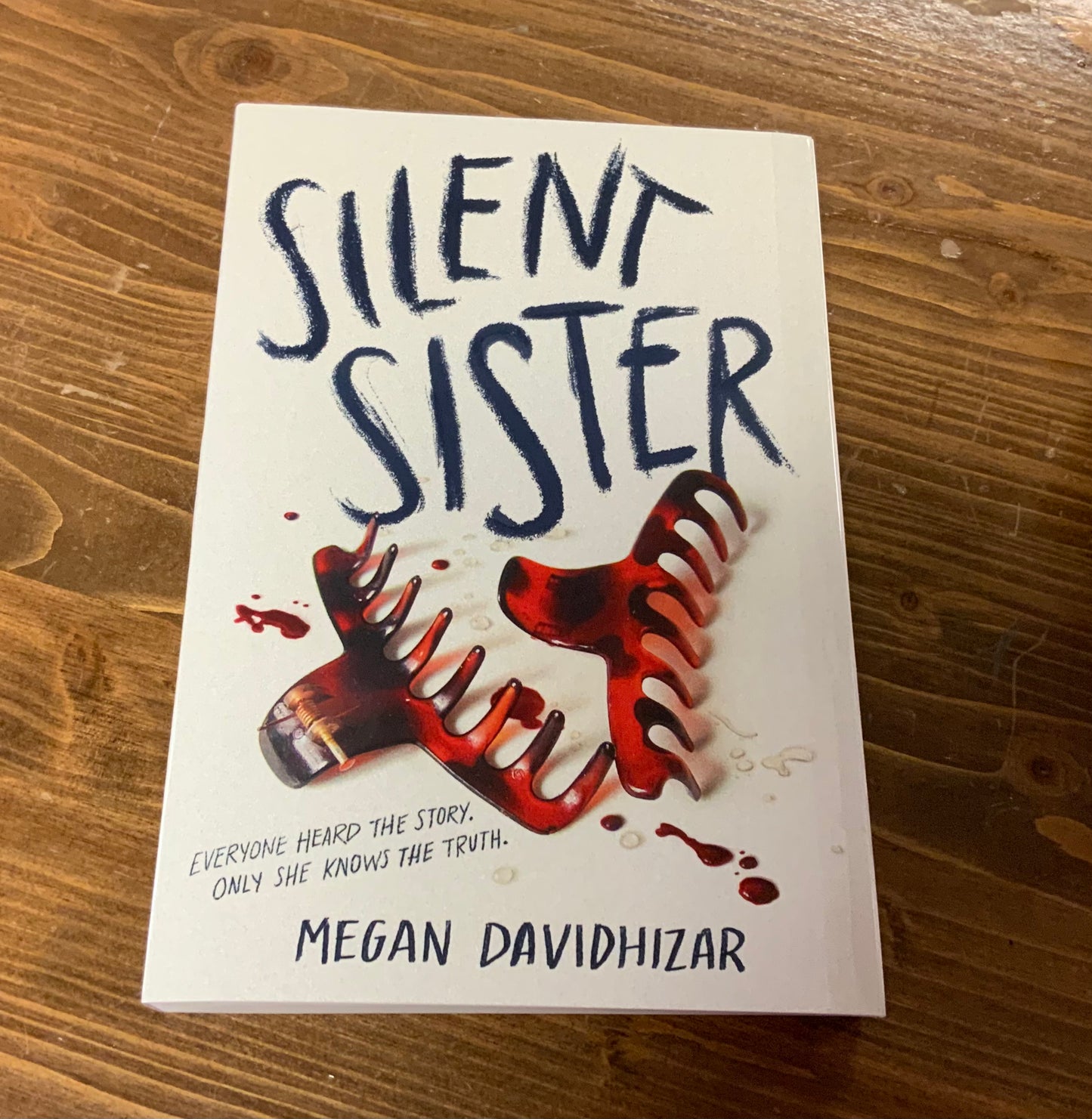 Silent Sister by Megan Davidhizar
