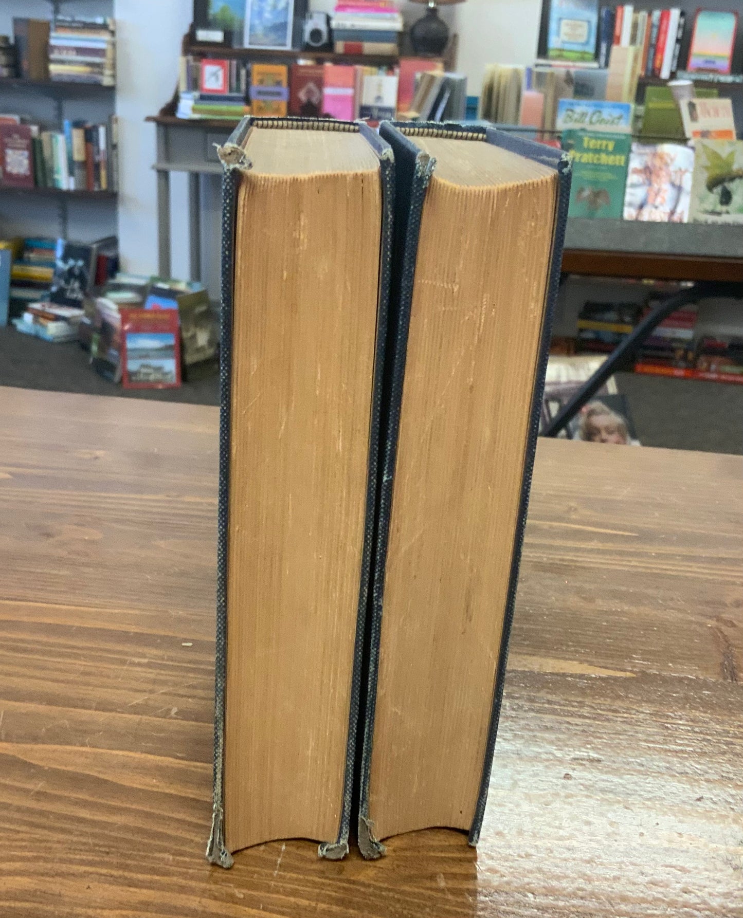 The Prince of India by Lew Wallace 1893 two volumes antique collectible