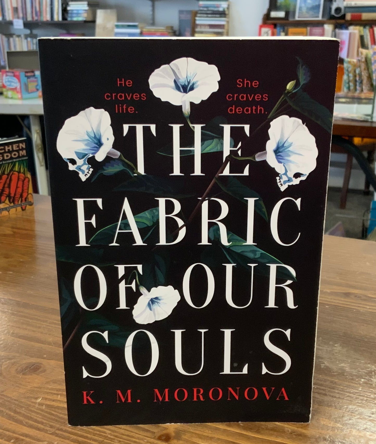 The Fabric of Our Souls by K.M. Moronova Good Condition Paperback