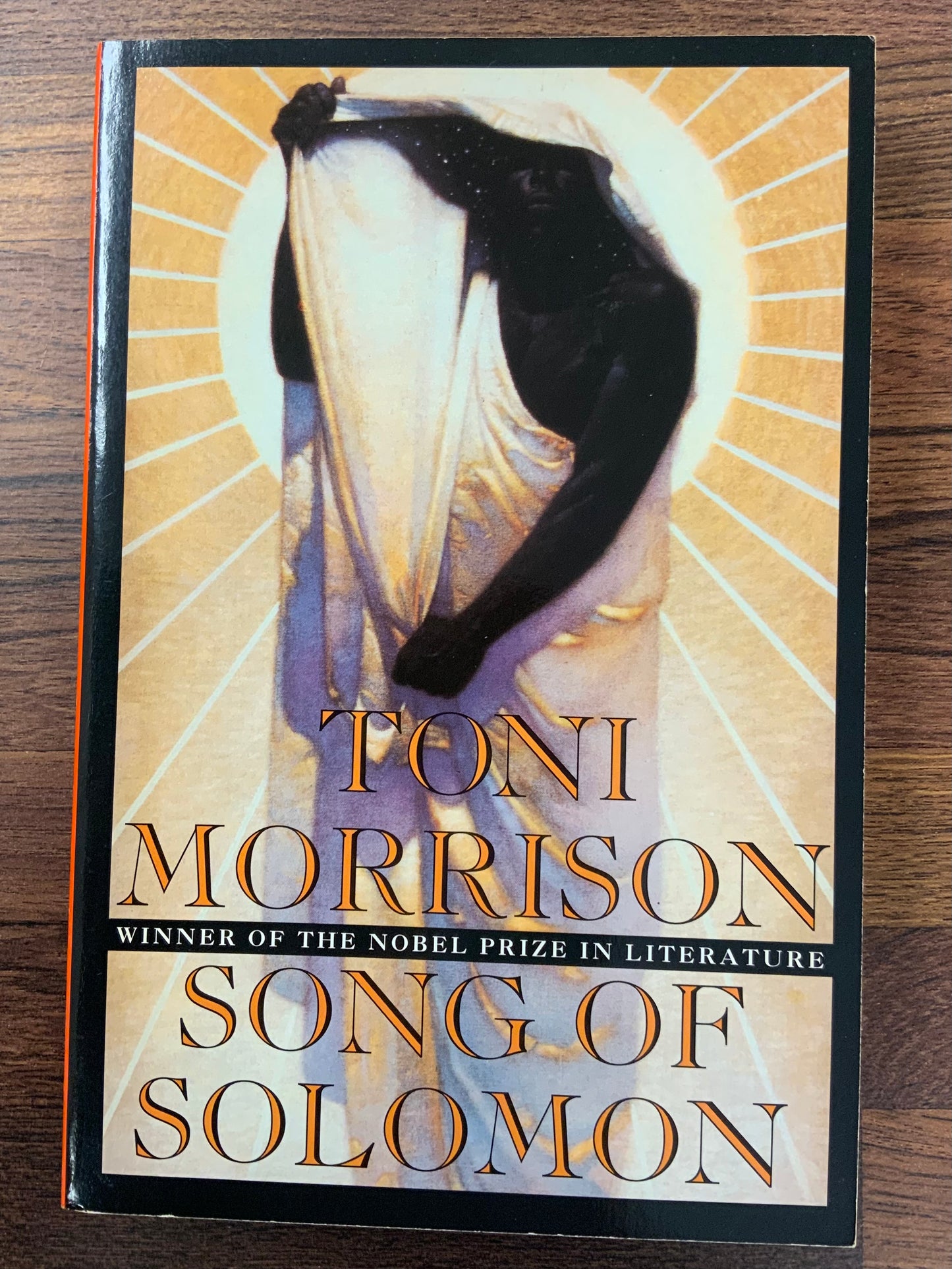 Song of Solomon by Toni Morrison