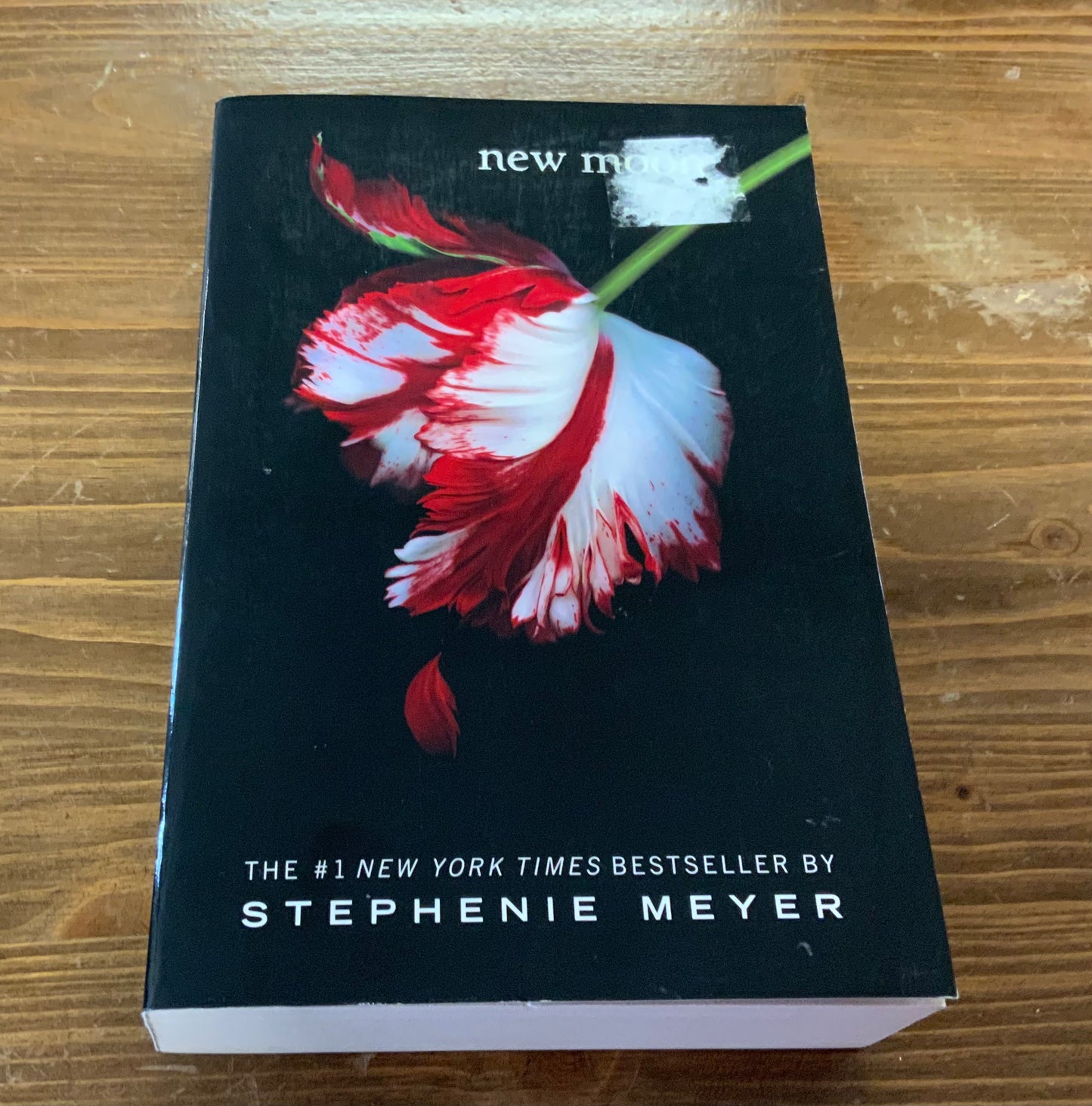 New Moon (The Twilight Saga) by Stephenie Meyer