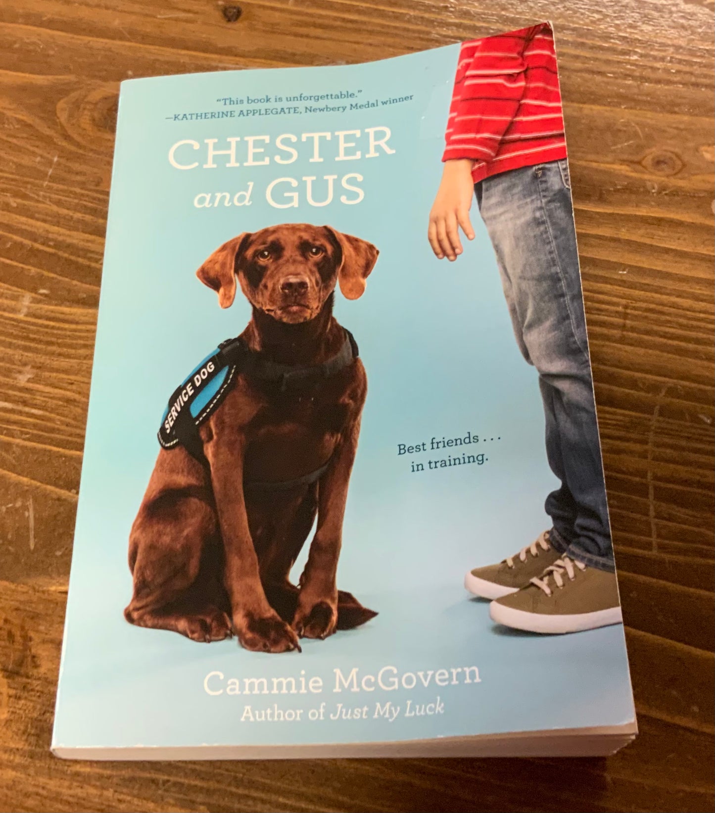 Chester and Gus by Cammie McGovern