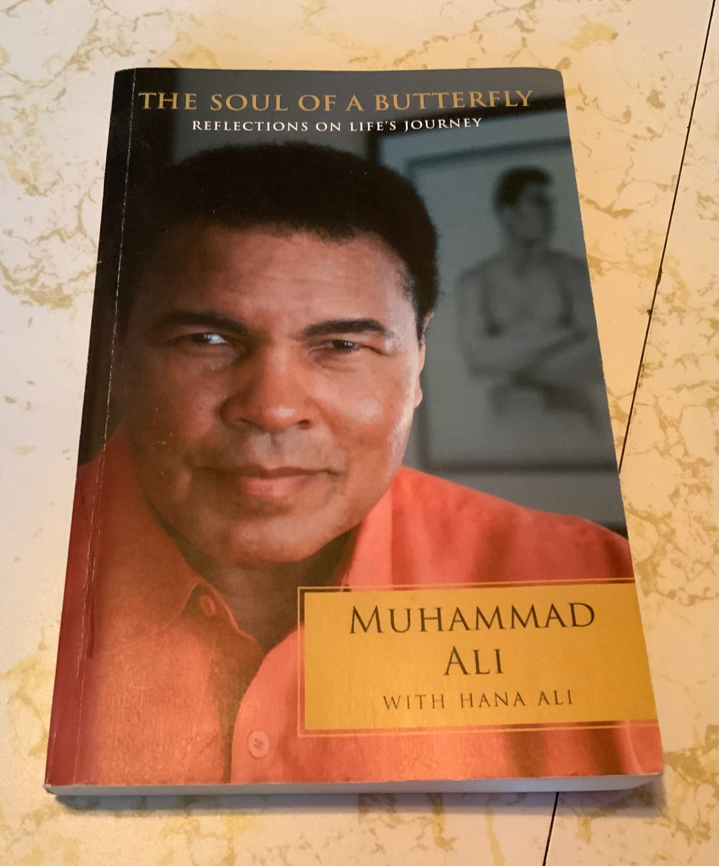 The Soul of a Butterfly: Reflections on Life's Journey