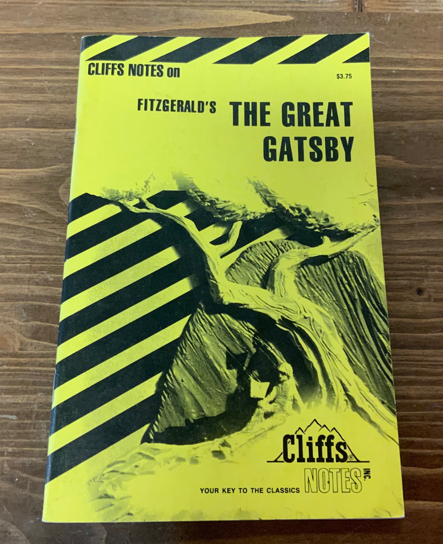 Fitzgerald's The Great Gatsby (Cliffs Notes)