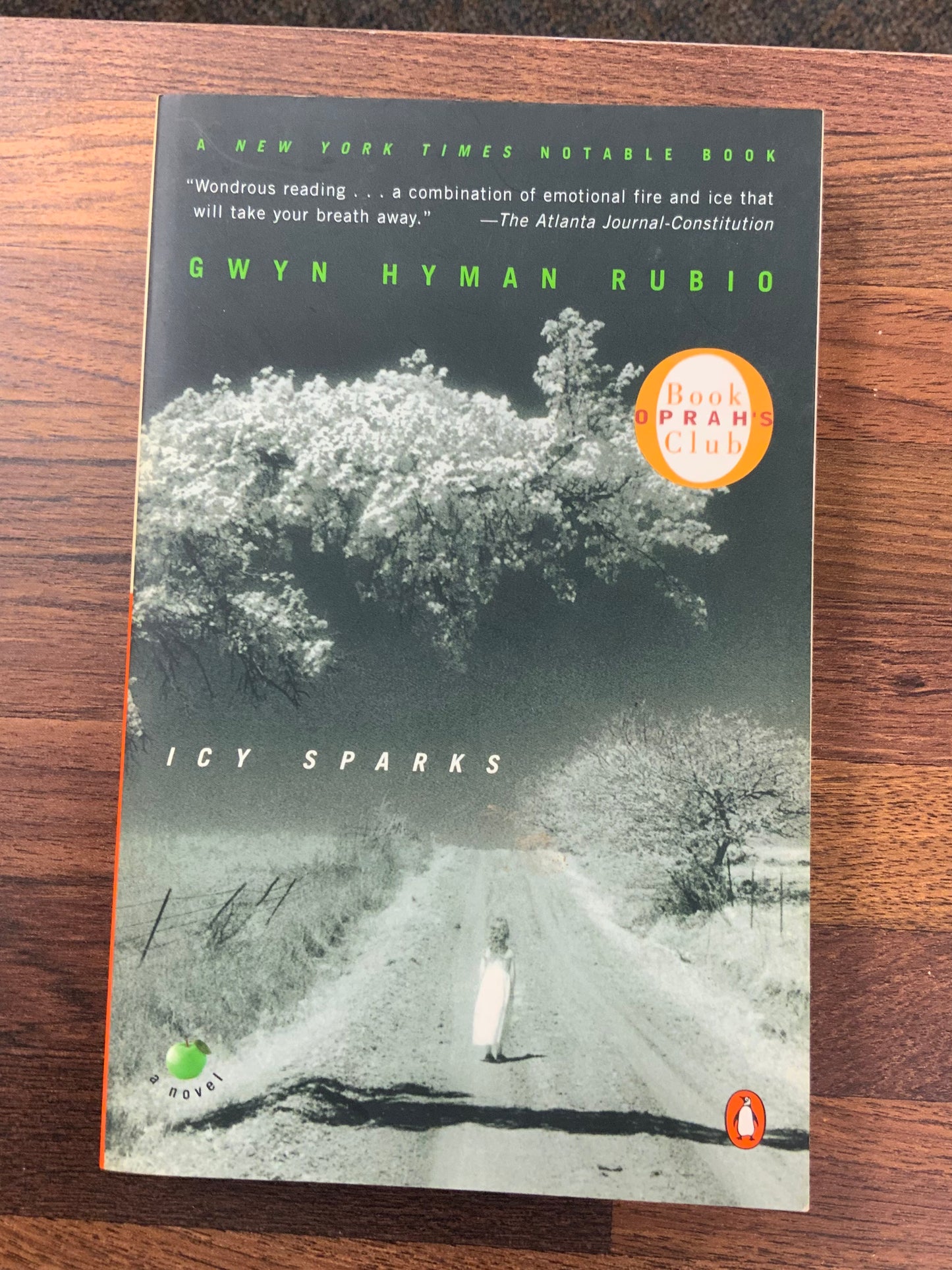 Icy Sparks by Gwyn Hyman Rubio (Oprah's Book Club)