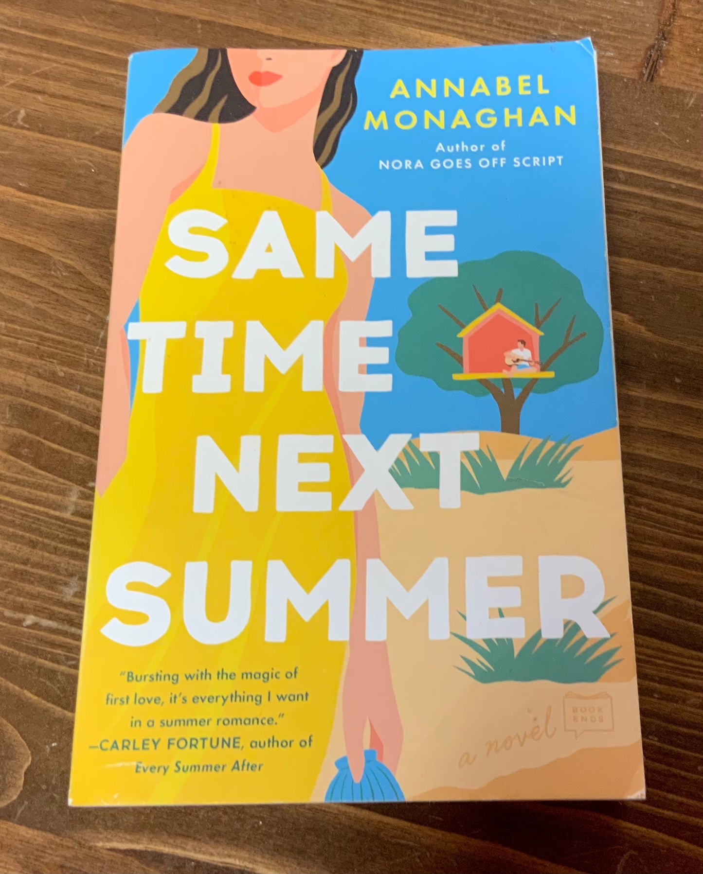 Same Time Next Summer by Annabel Monaghan