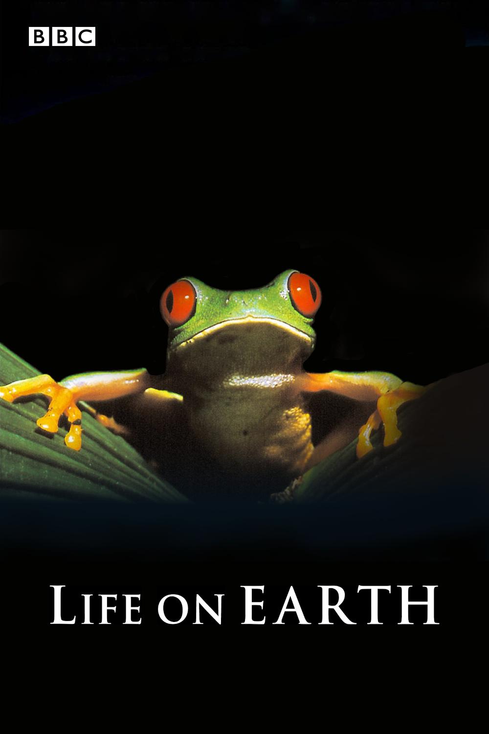 Life on Earth by David Attenborough