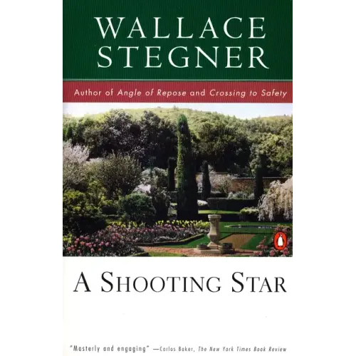 A Shooting Star