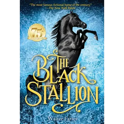 The Black Stallion