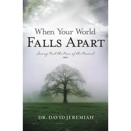 When Your World Falls Apart: See Past the Pain of the Present