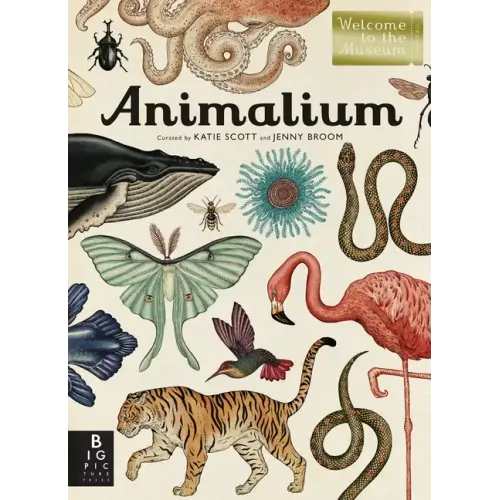 Animalium: Welcome to the Museum