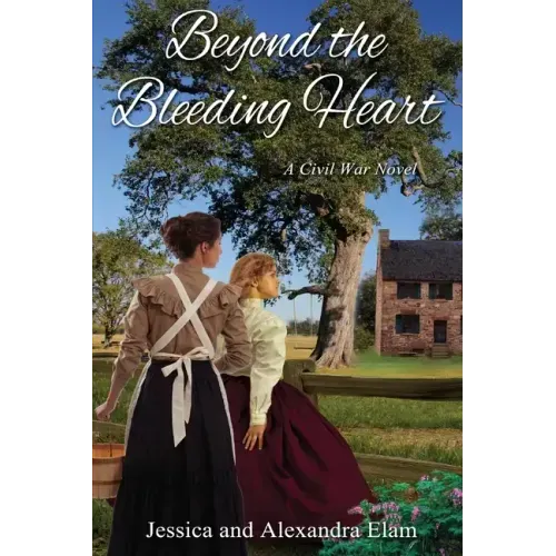 Beyond the Bleeding Heart: A Tale of the American Civil War