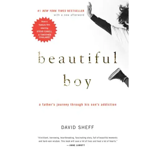 Beautiful Boy: A Father's Journey Through His Son's Addiction