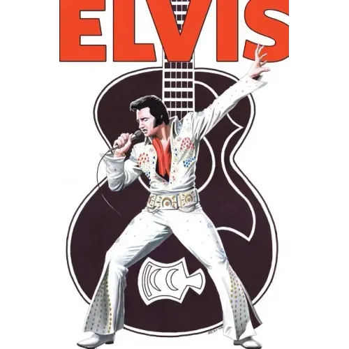 Rock and Roll Comics: Elvis Presley Experience: Special Hard Cover Edition