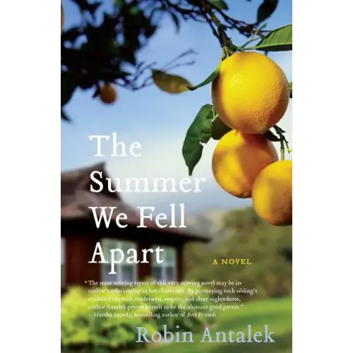 The Summer We Fell Apart