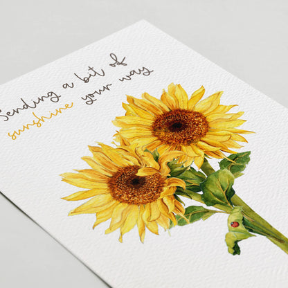Sending Sunshine, Thinking of You, Sunflowers, Sympathy