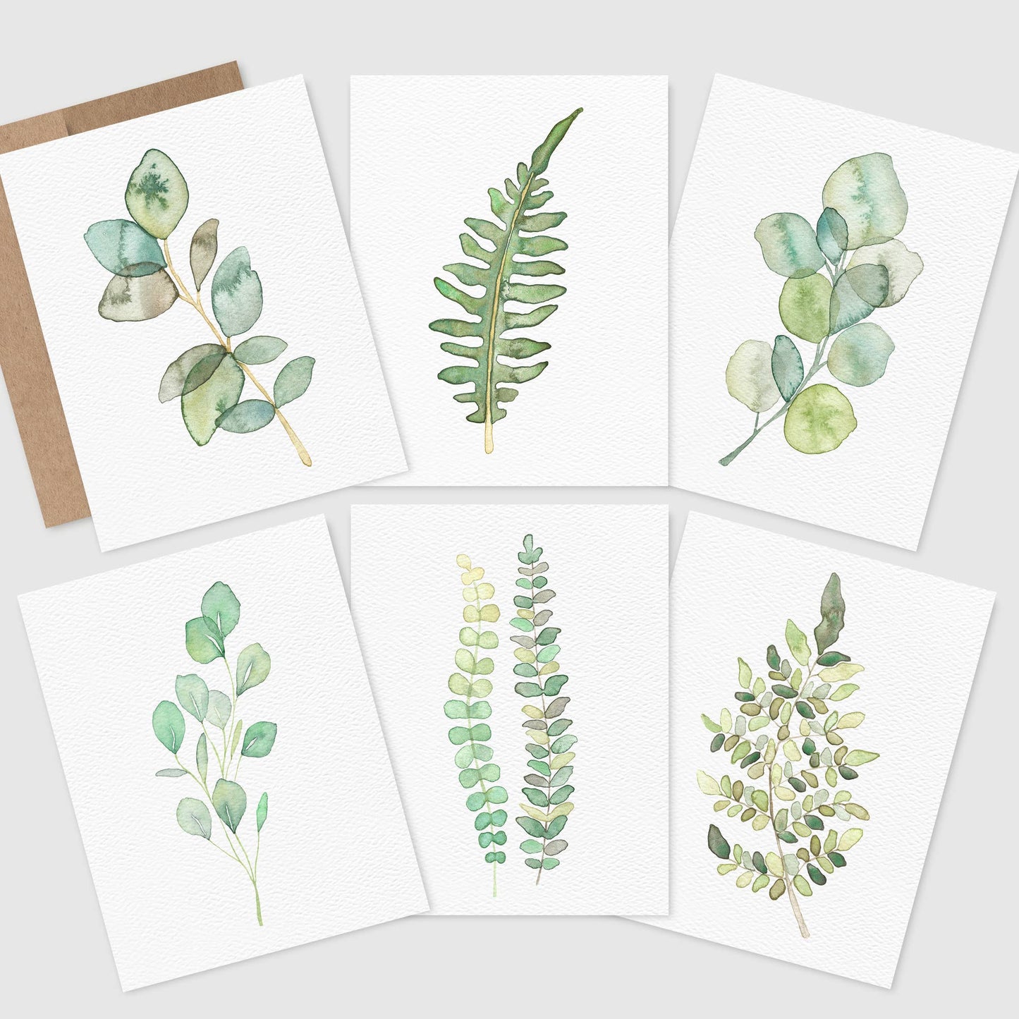 Boxed Set of 6 or 12 Botanical Greeting Cards, Plant cards