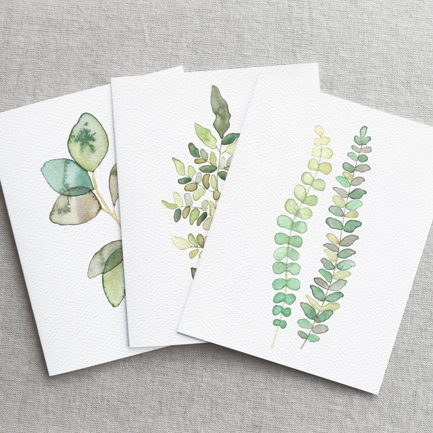 Boxed Set of 6 or 12 Botanical Greeting Cards, Plant cards