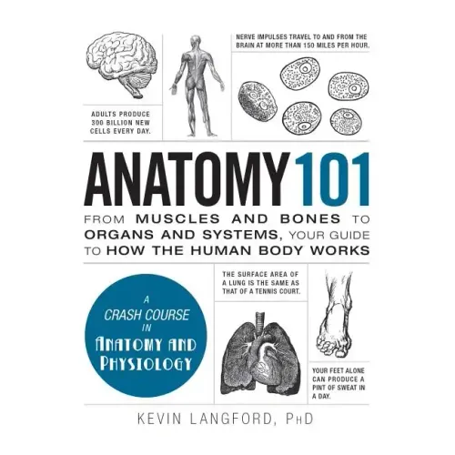 Anatomy 101: From Muscles and Bones to Organs and Systems, Your Guide to How the Human Body Works