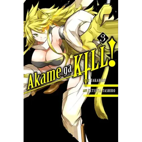Akame Ga Kill!, Vol. 3