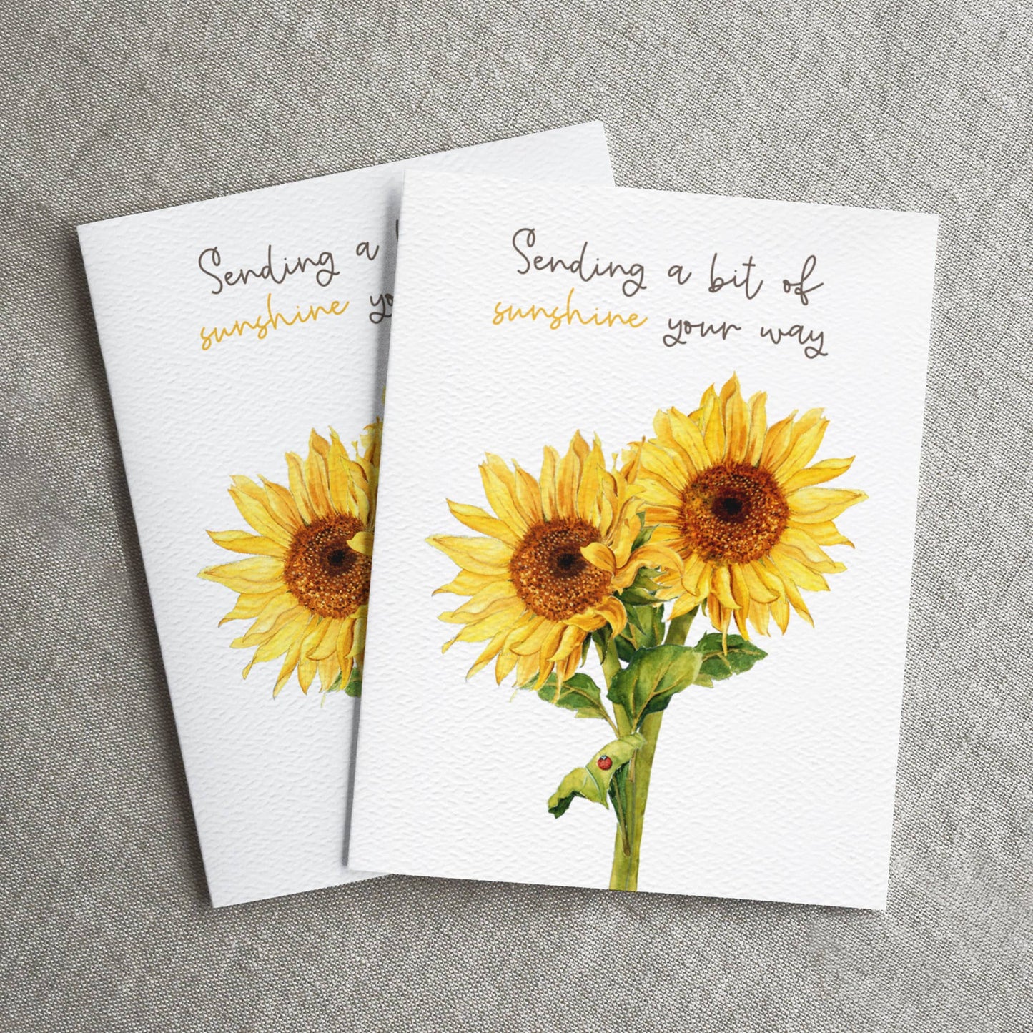 Sending Sunshine, Thinking of You, Sunflowers, Sympathy