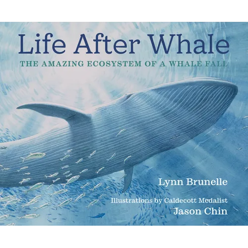 Life After Whale: The Amazing Ecosystem of a Whale Fall