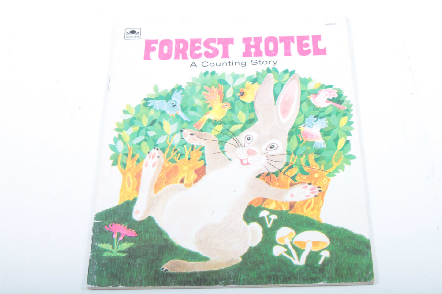 Forest Hotel by Barbara S. Davis