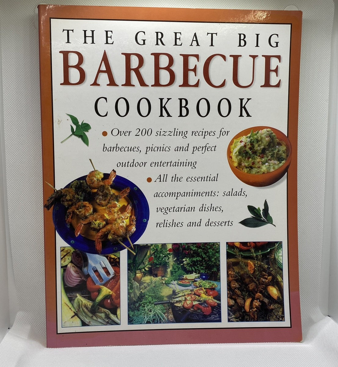 The Great Big Barbecue Cookbook by Christine France