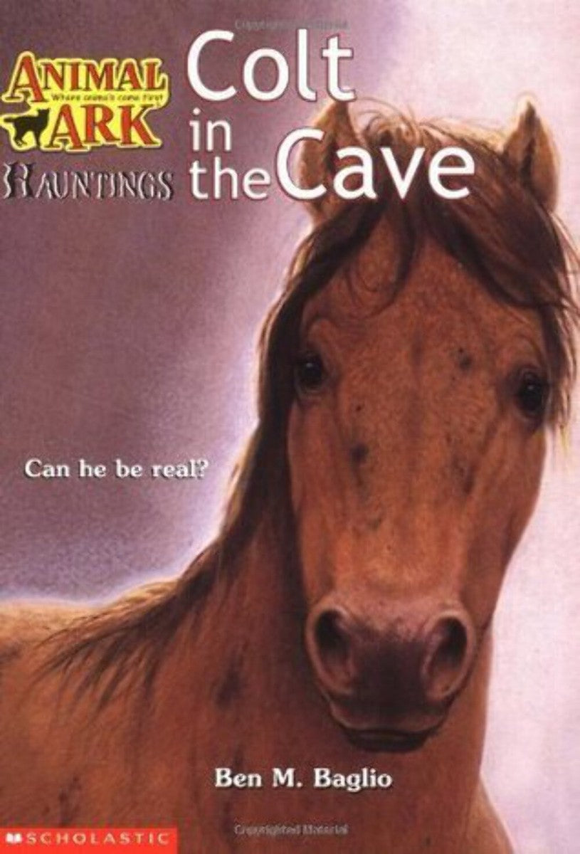 Colt in the Cave (Animal Ark Hauntings, #4) by Ben M. Baglio